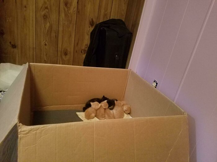 124 Of The Coolest Things People Found In The Trash, As Shared On The ‘Dumpster Diving’ Online Group