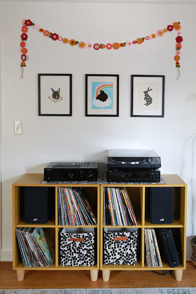 Record Cabinet Storage Baskets
