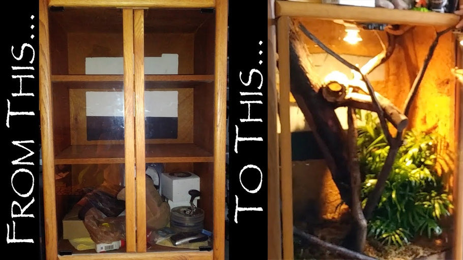 We take you through all the steps of converting an old display cabinet into a very nice bio-active, planted enclosure for very little expense
