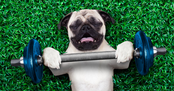 Success Is Difficult, but We Had No Idea