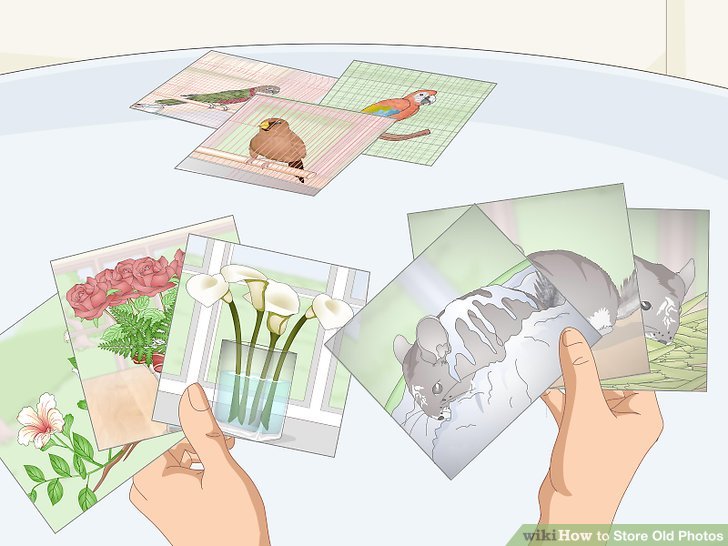 How to Store Old Photos
