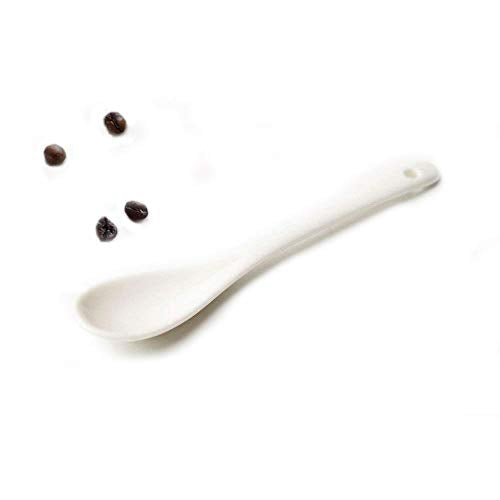 16 Greatest White Ceramic Spoons
