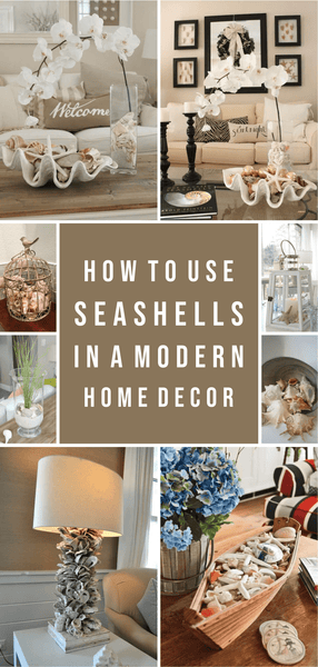 How to Use Seashells in A Modern Home Decor