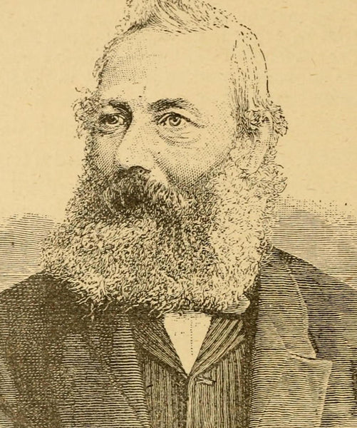 Hero of the suburban garden: Shirley Hibberd