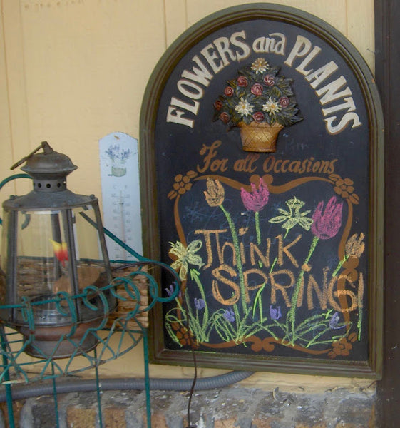 Blast from Spring’s Past:Bunnies in the Chaos