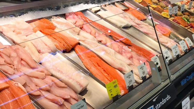 ‘Fresh’ Fish Isn’t Always Better Than Frozen